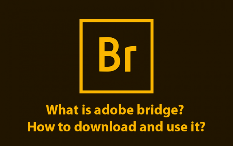adobe bridge photo downloader